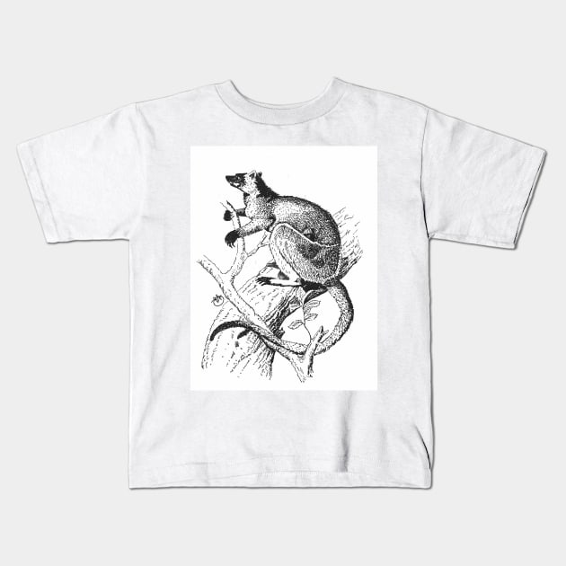 Lemur in the Wild Kids T-Shirt by angipangi7